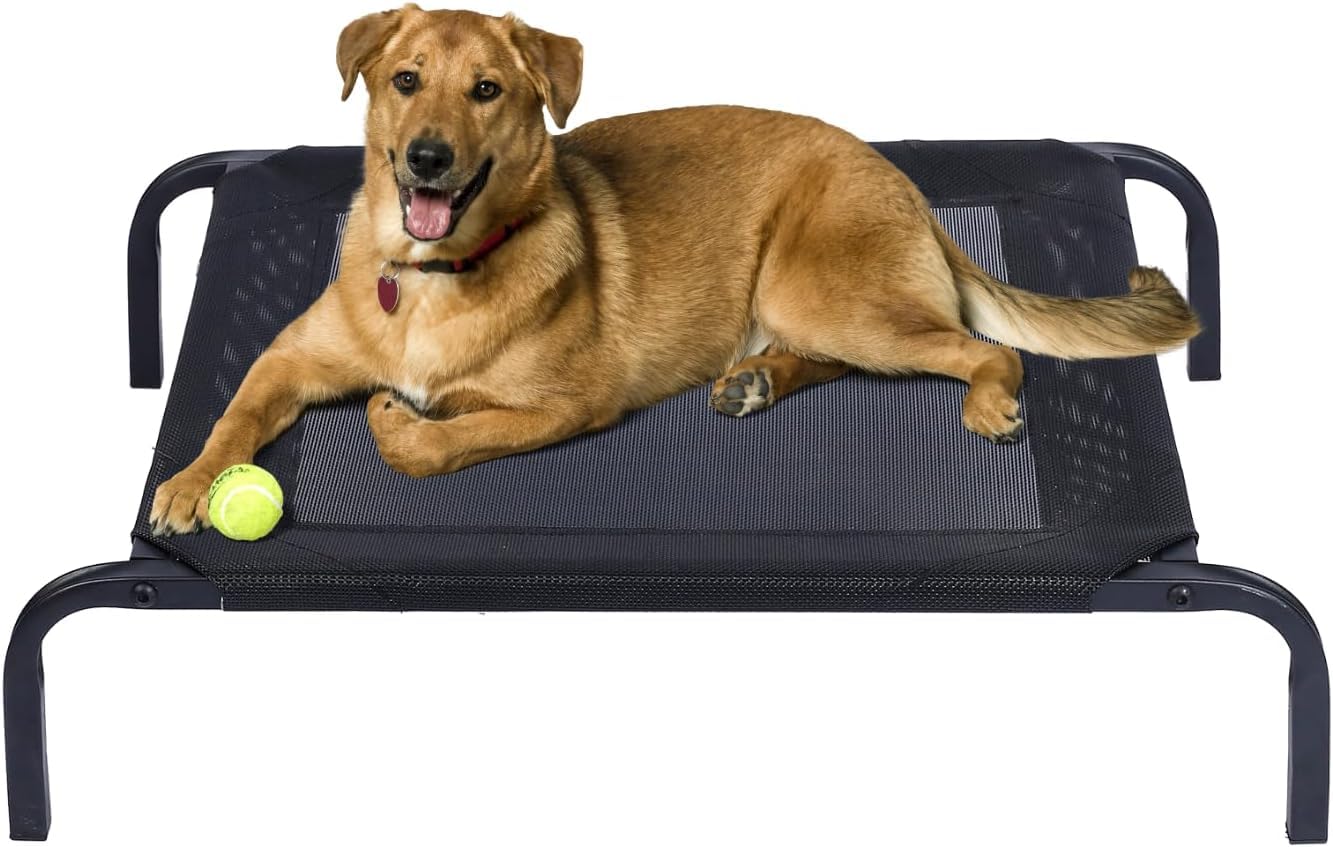 POLI PETS Elevated Dog Bed Pet Bed Medium Size with Measures 35 4x23 6 x 5 9in Portable