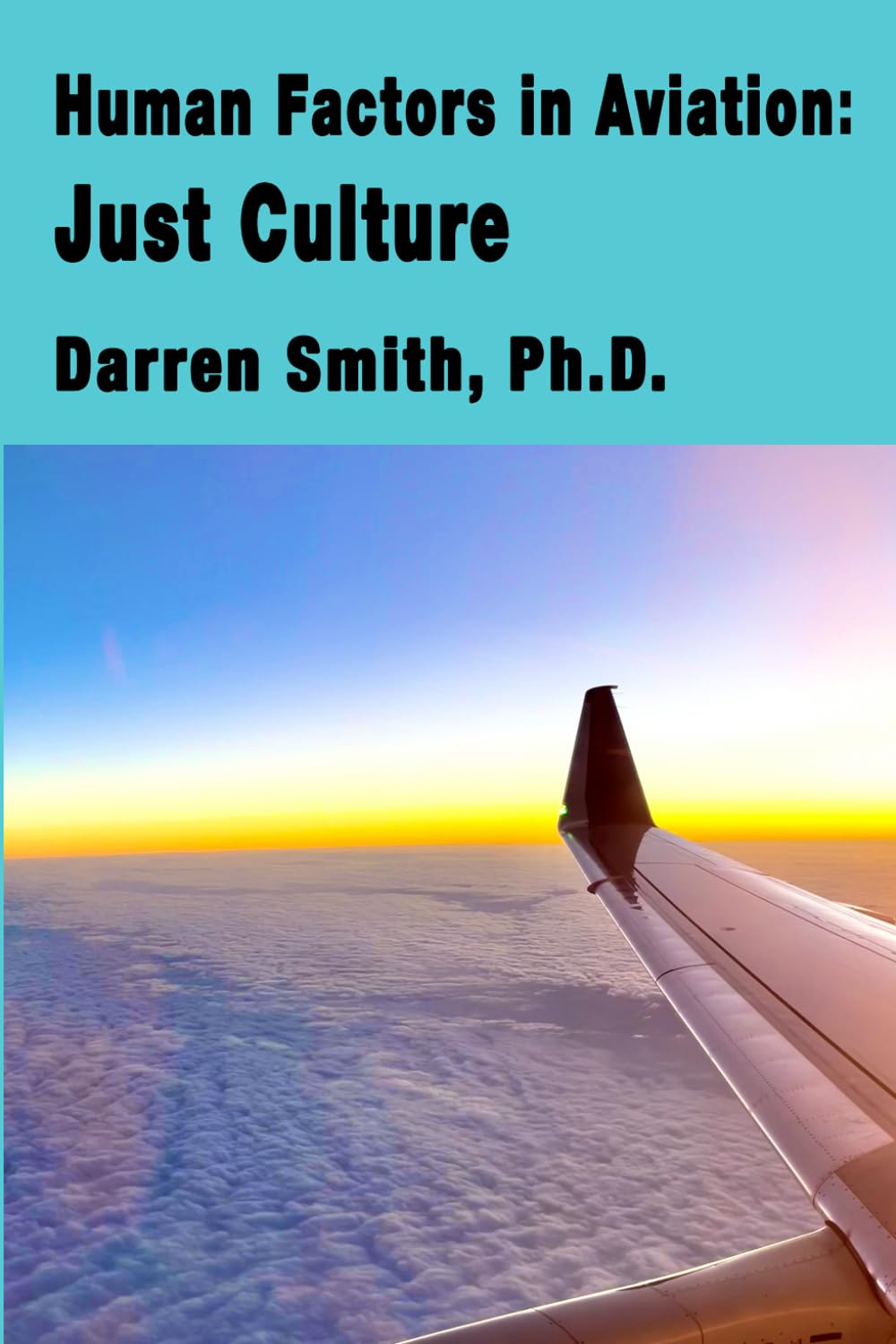 Human Factors in Aviation: Just Culture
