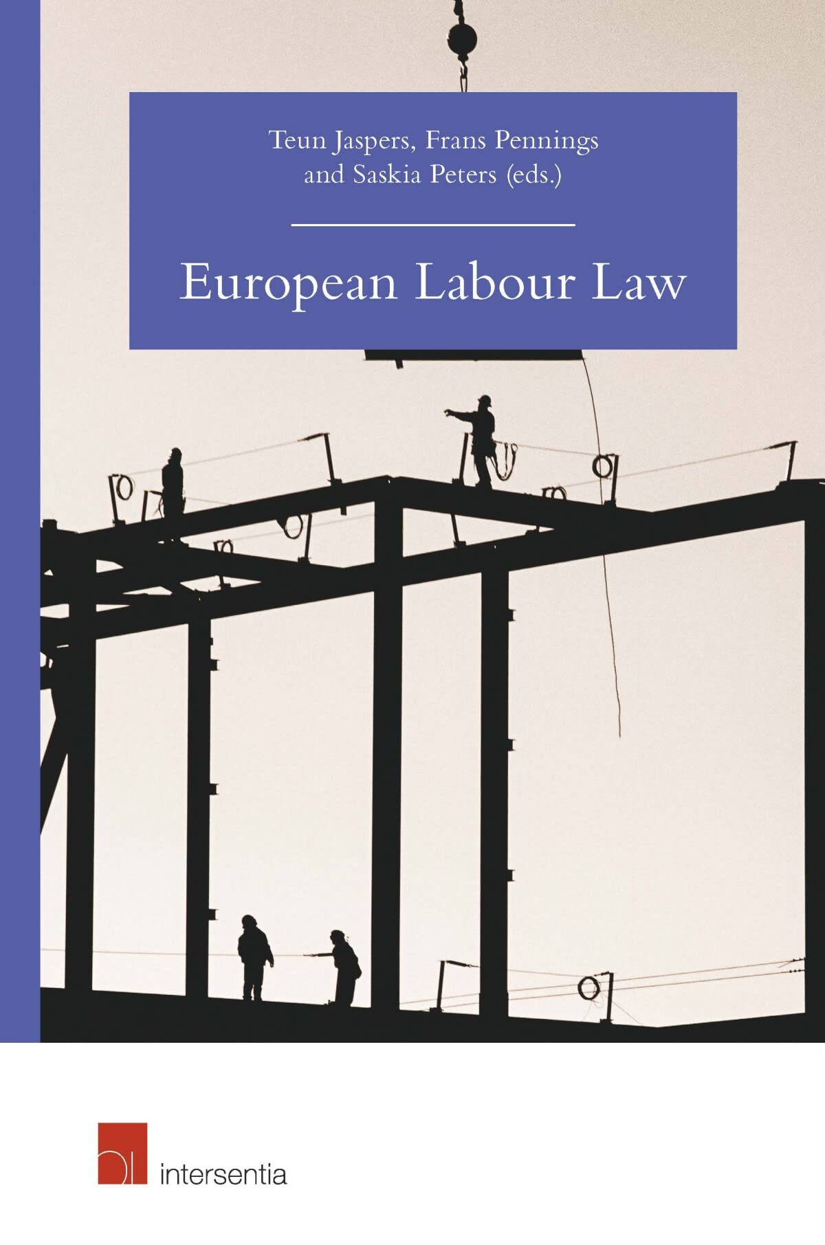 European Labour Law Paperback – Import, 29 August 2019