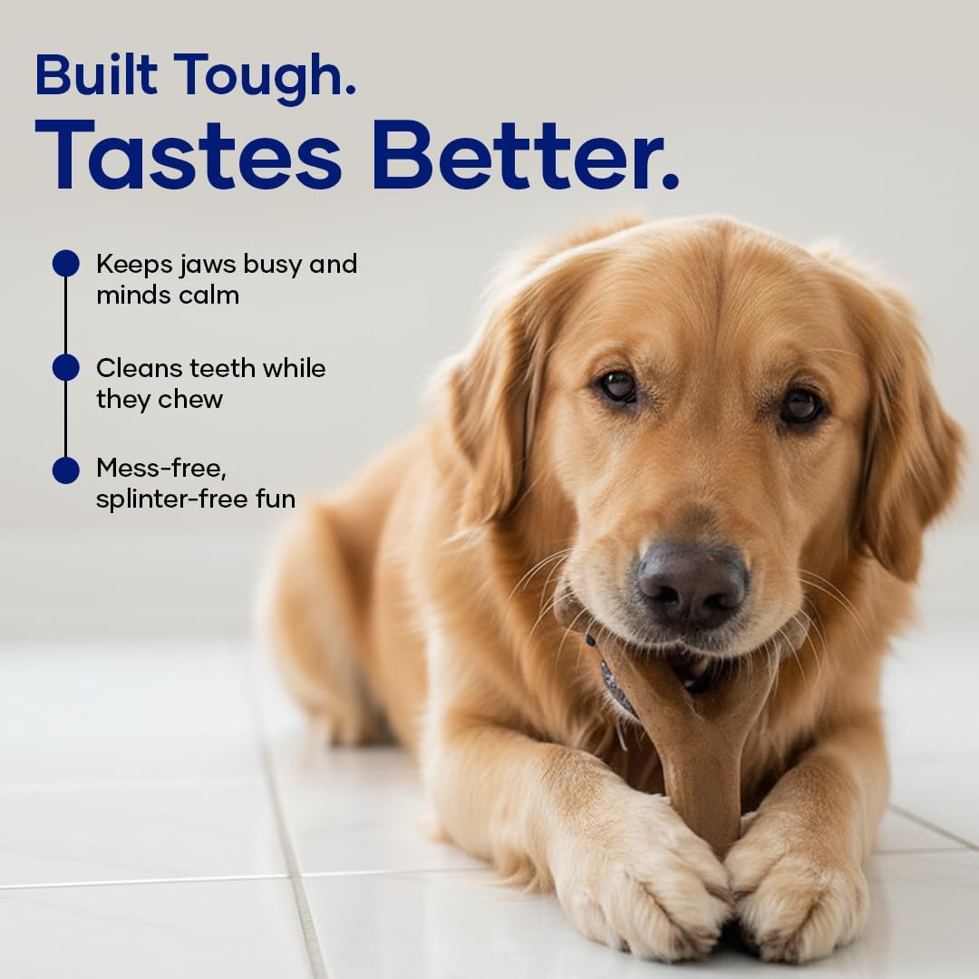 Wishbone – Bacon Flavored Dog Chew Toy | Durable, Long-Lasting, Teeth Cleaning | Safe for Heavy Chewers