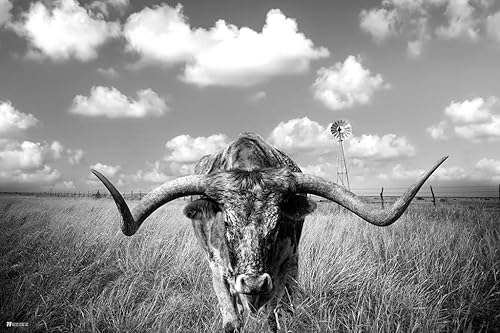 Póster de Texas Longhorn de pie en pasto, decoración del hogar, sala de estar y decoración moderna de granja, pósteres de arte en blanco y negro,