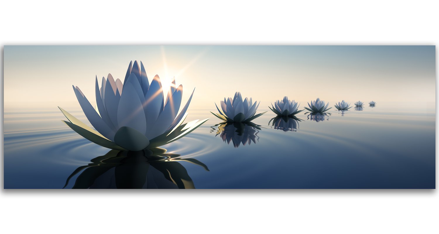 Feeby Cuadro en lienzo Lirio De Agua 120x40 cm 1 Pieza Modernos Impresión Artística Calidad Fotografica Imagen Decoración De Pared Salon Dormitorio Oficina Pasillo Flores Naturaleza Azul