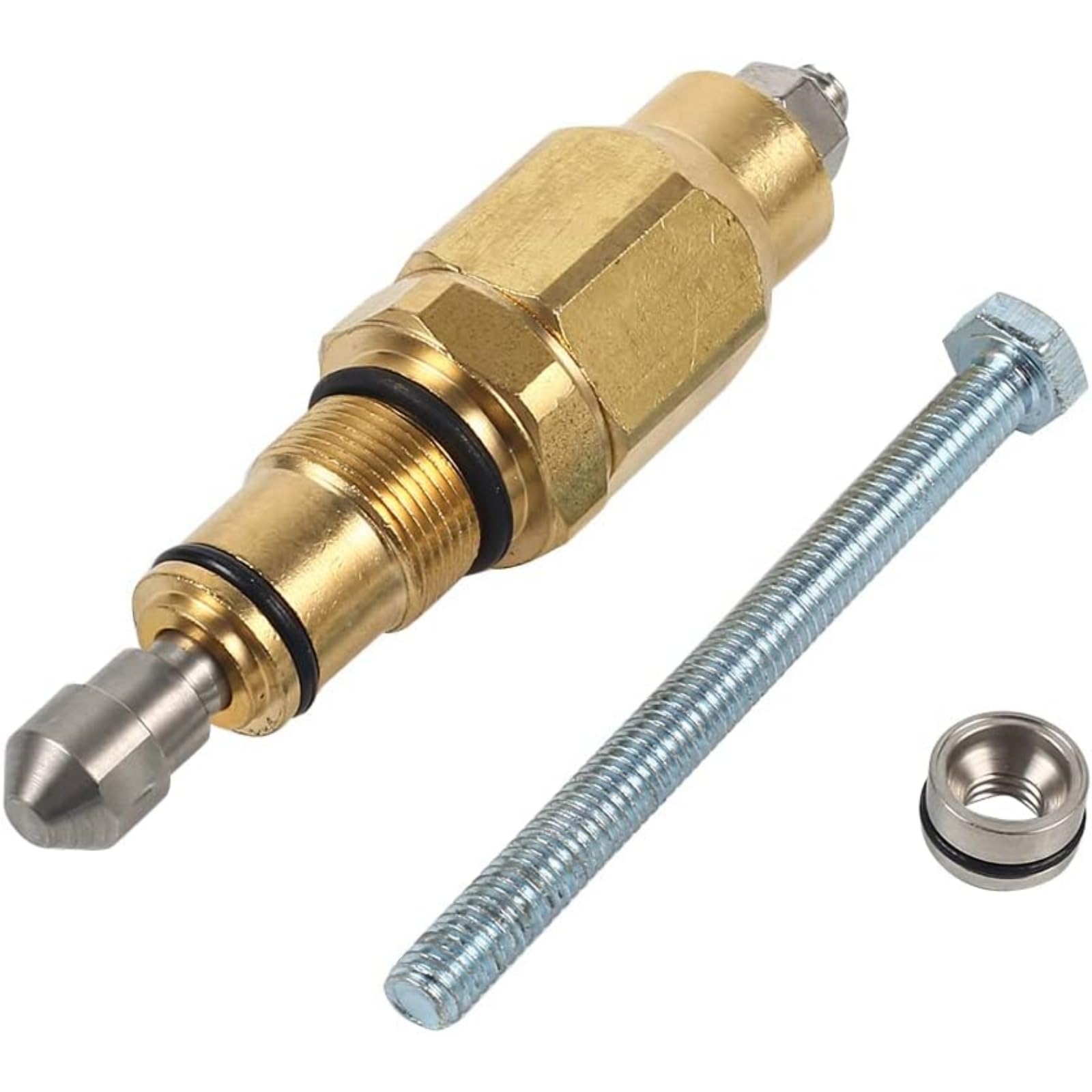 DAGIJIRD Kit de reconstrucción de válvula de descarga de bomba de lavado a presión AR42118 202328GS de repuesto para Annovi Reverberi RMW RMV SRMW