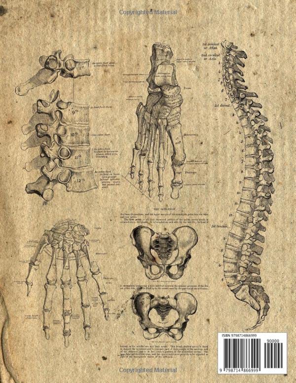 Orthopedics Notebook: Vintage Anatomy - Bones, 8.5"x11", 100 College Ruled Pages, Matte Cover - Image 2