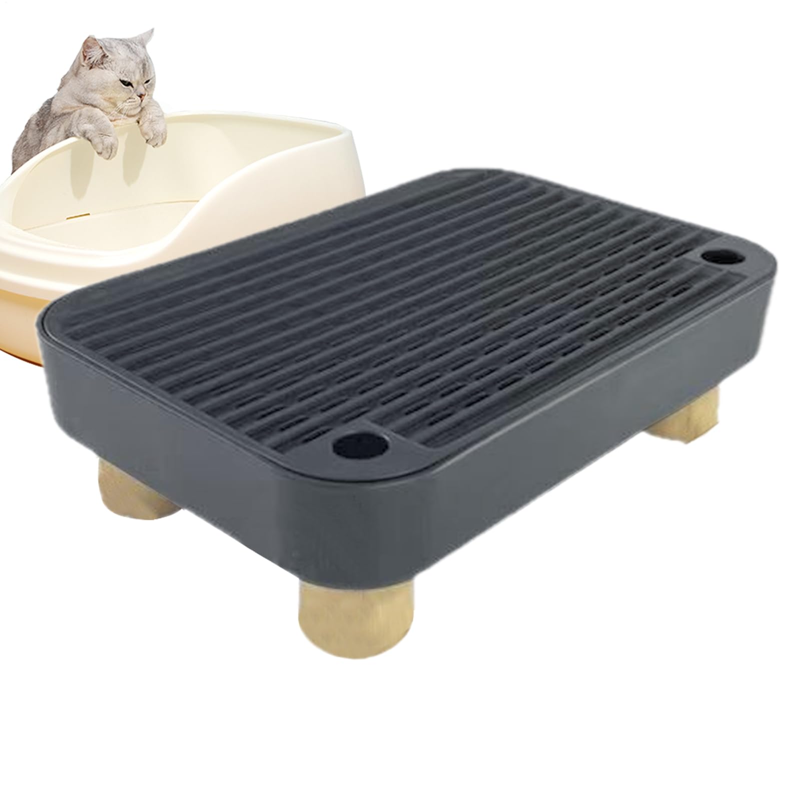 Marche pour litière de chat avec filtre intégré pour chaton et chat senior