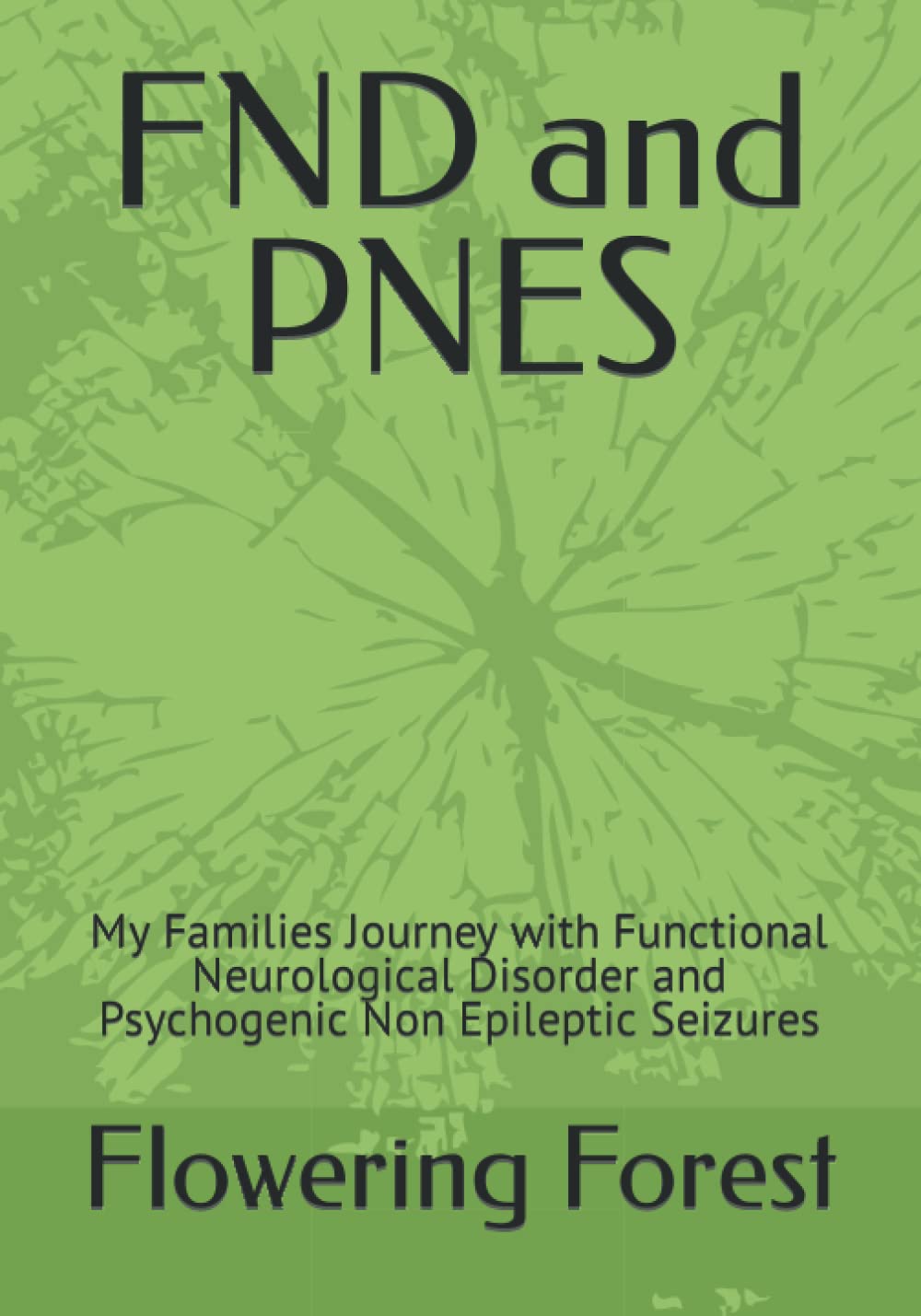 FND and PNES: My Families Journey with Functional Neurological Disorder and Psychogenic Non Epileptic Seizures