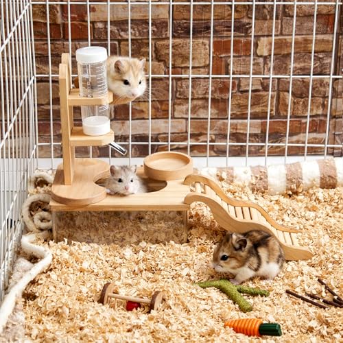 4 Pcs Hamster Cage Accessories Acrylic Sand Bath Box Feeding Bowl Water Bottle Set Hamster Climbing Toy Wooden Ladder Bridge Set for Rat Mice Small Animals Habitat(Rectangle) - Image 2