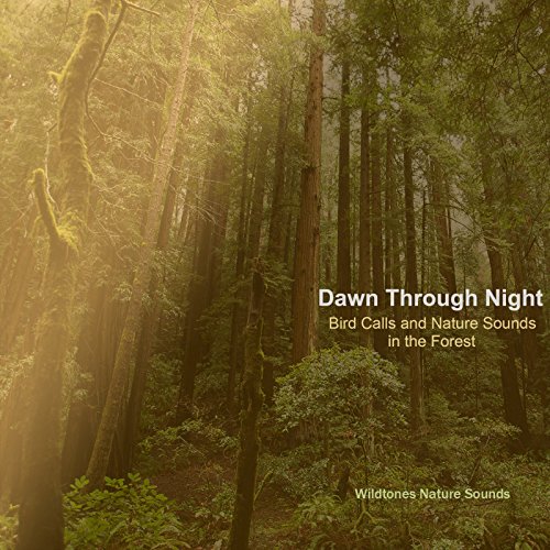 Nighttime Solitude: Distant Whip-Poor-Will Calls