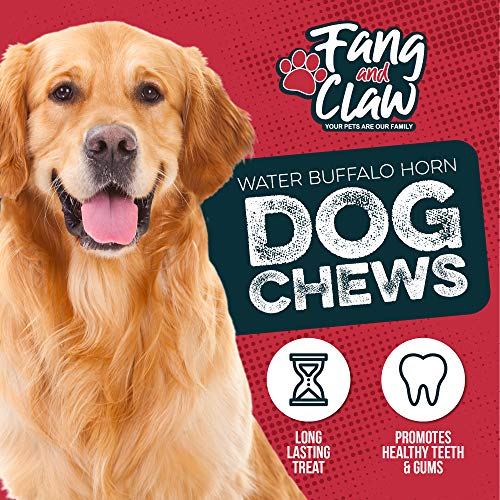 Buffalo Horn and Rope Chew Toy for Dogs – All Natural and Grass-fed Buffalo Horns – 12-inch Rope Toy for Moderate to Aggressive Chewers – by Fang & Claw
