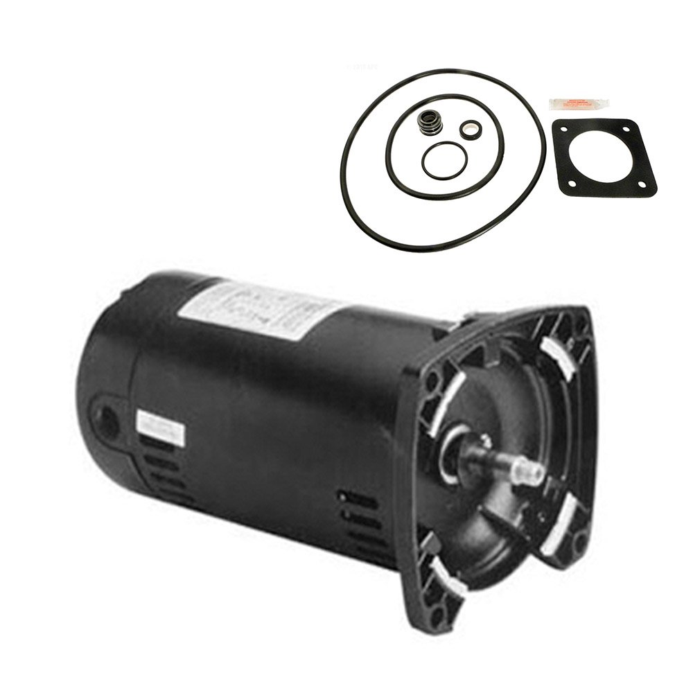 Puri Tech Replacement Motor Kit for Sta-Rite Dura-Glas .75HP P2RA5D-180L Century USQ1072 Motor with GO-KIT-54
