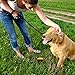 Simple Solution Pee Post Outdoor Dog Training Aid, 13-Inch Pheromone-Infused Stake for Puppy Potty Training, Yard Marking, and Housebreaking, Dog Pee Attractant for Lawn & Garden