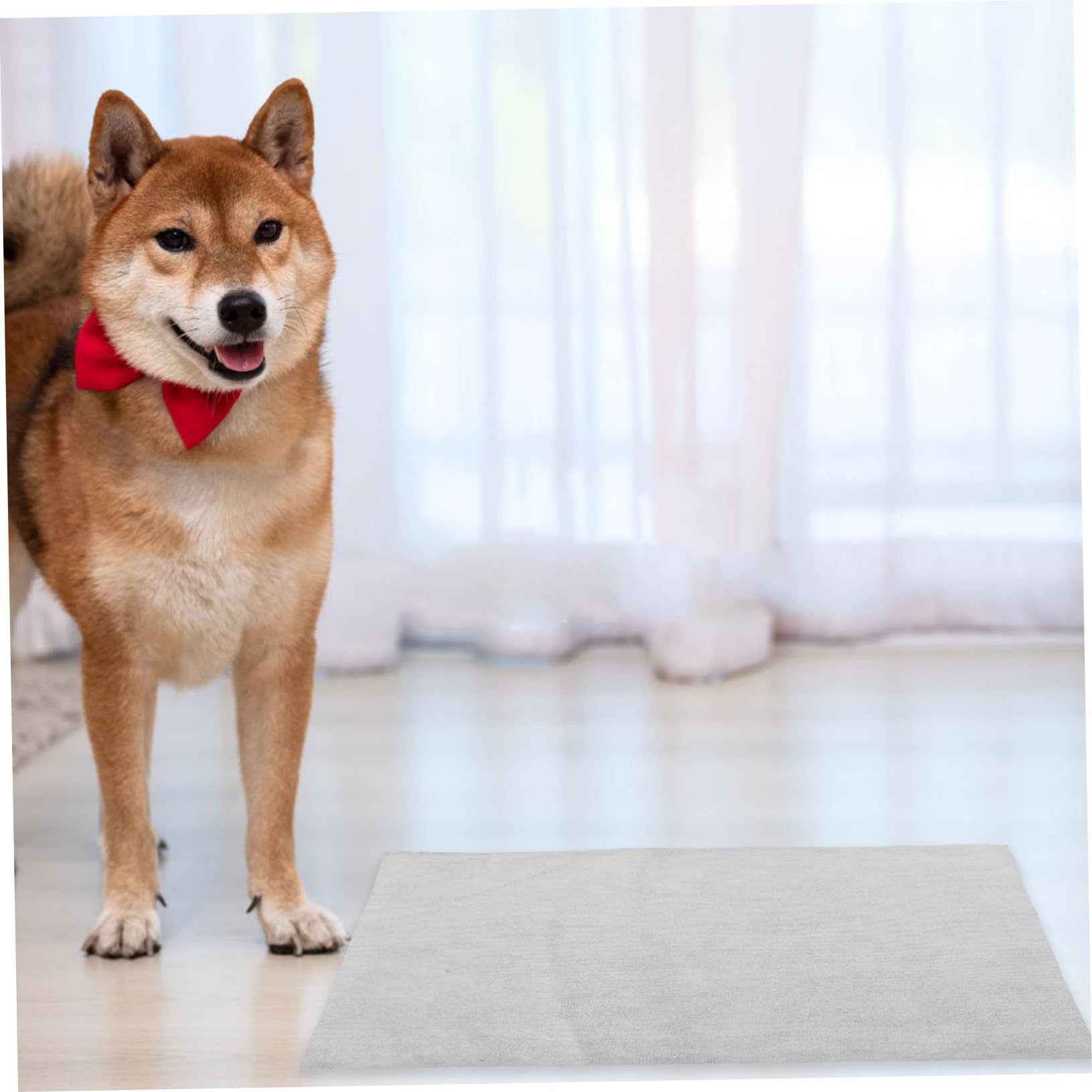 Alèses pour Animaux Super Absorbantes 100 Pièces en Non-tissé pour Chiens | Blanc, Usage Entraînement et Voyage, Format Jetable pour Chiots, Protection Anti-fuite