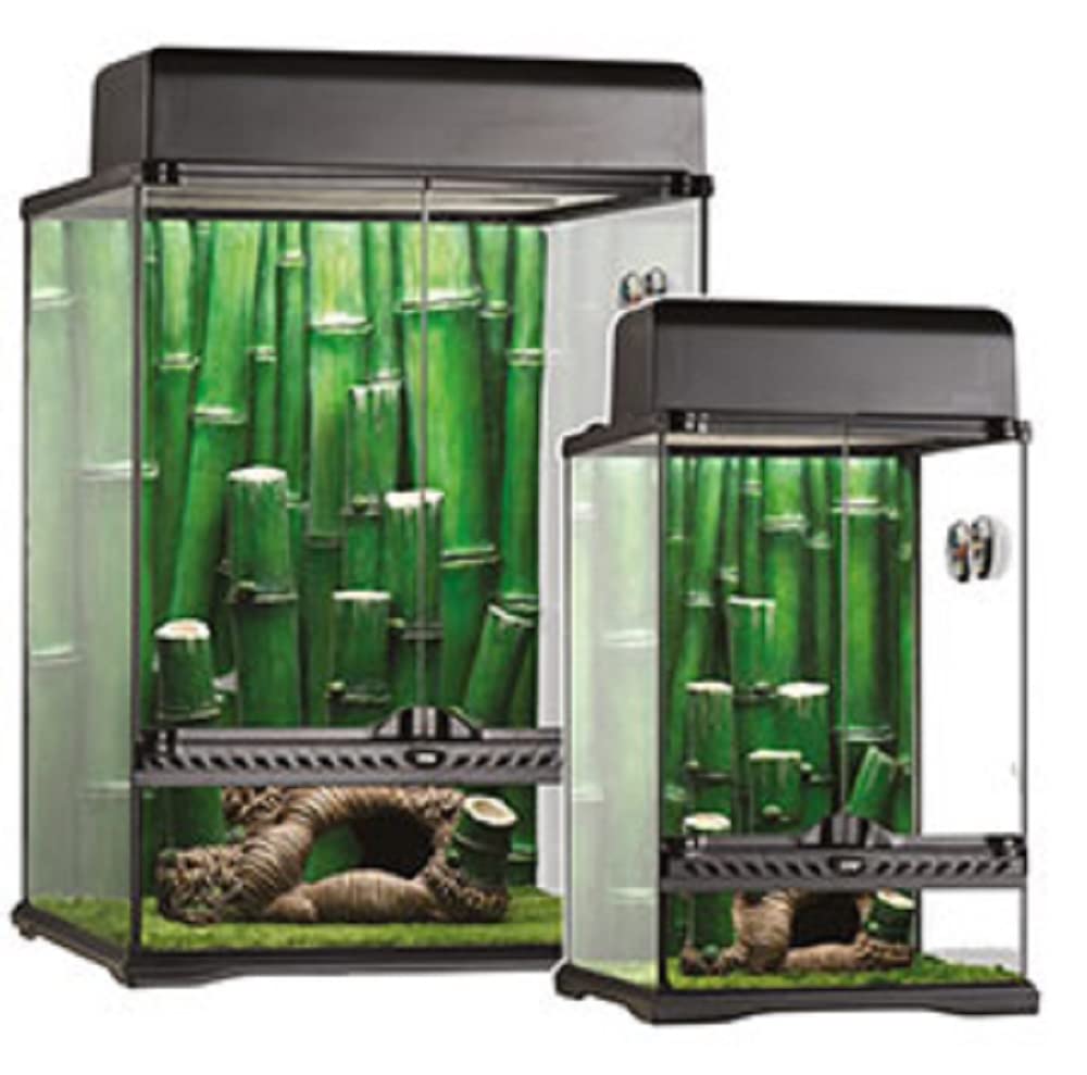 Exo Terra Kit Terrario Bamboo Pequeño, 30 x 30 x 45 cm