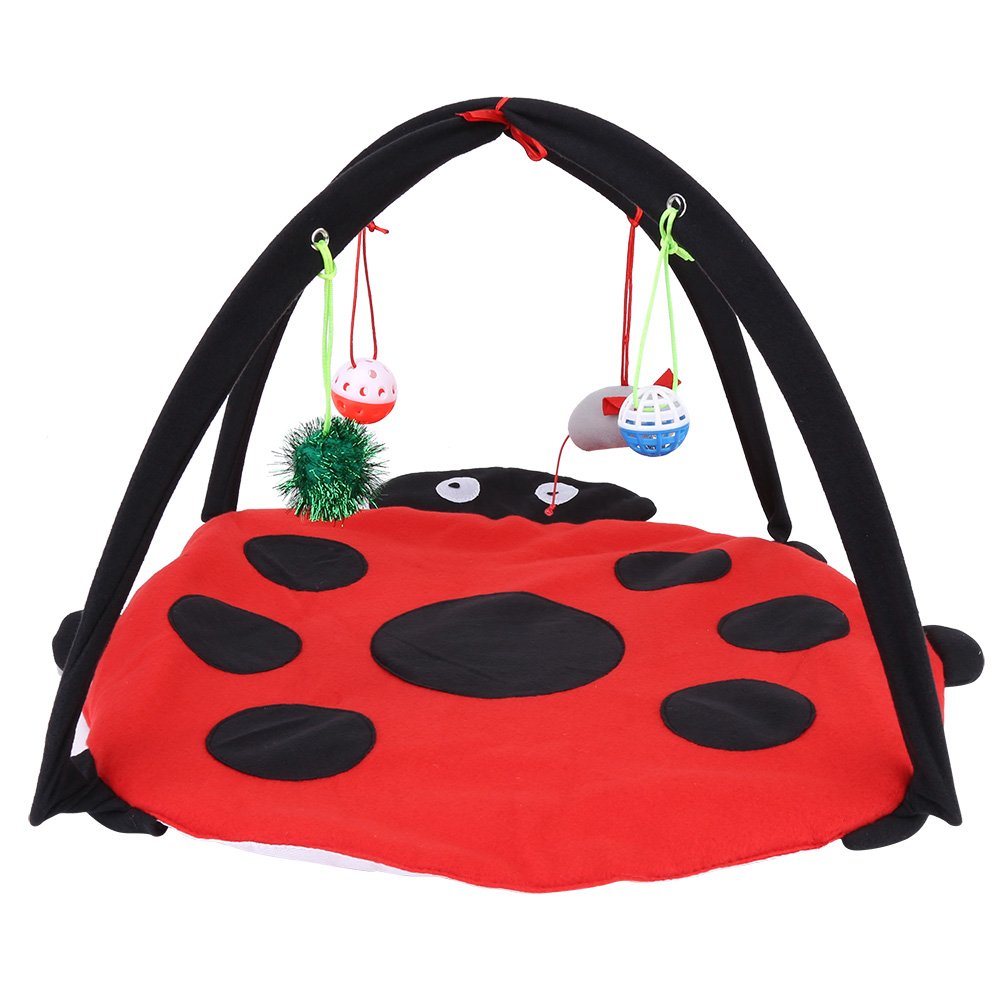Spielzelt für Katzen, Multi-Function Pet Kätzchen Interactive Aktivitäten mit Glocke zum Aufhängen Bälle Katzen Spielteppich mit Hängespielzeug