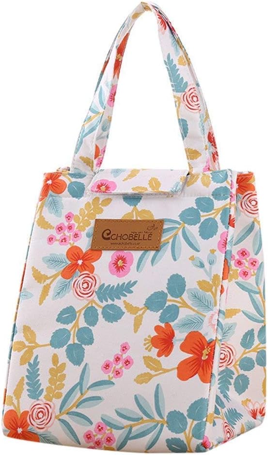 HOUSEHOLD CULTURE Thermal Portable Insulated Cooler Oxford Cloth Fabric Multicolour Lunch Bag for Office for Women, Men Random Print As Per Available