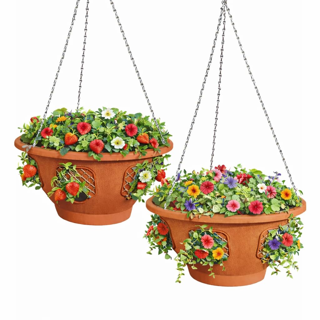 Ultimate Hanging Baskets - Strawberry Planter Set