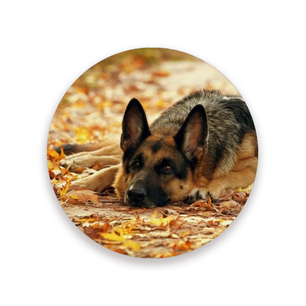 Elegant German Shepherd Ceramic Absorbent Drink Coasters with Stand 4 Pack