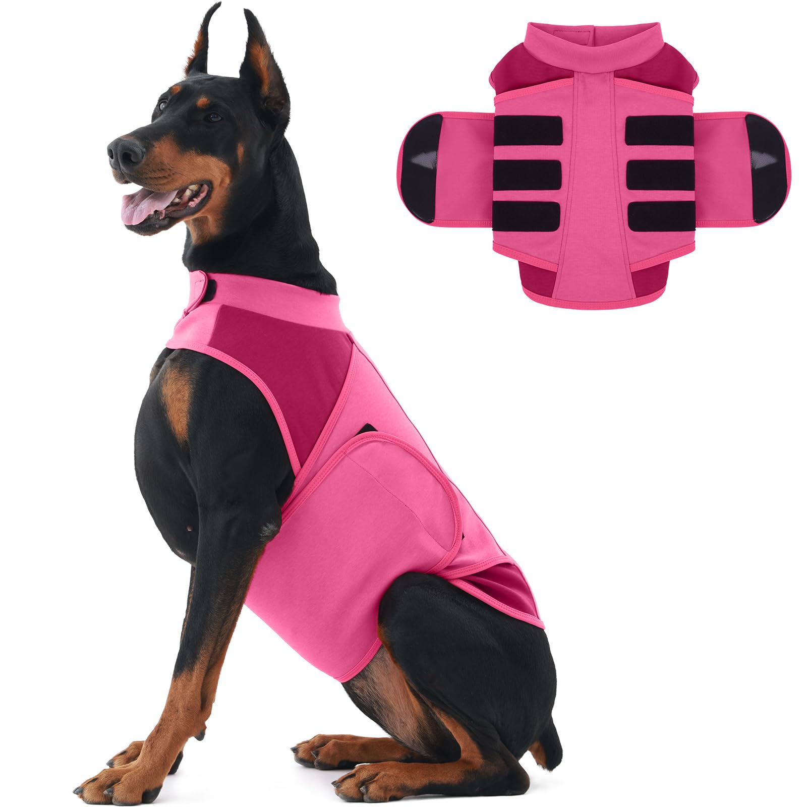Gilet de soulagement de l'anxiété pour chien : calmez enfin la panique des feux d'artifice