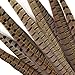 Pheasant Tail Feather Craft Supplies - 14-18
