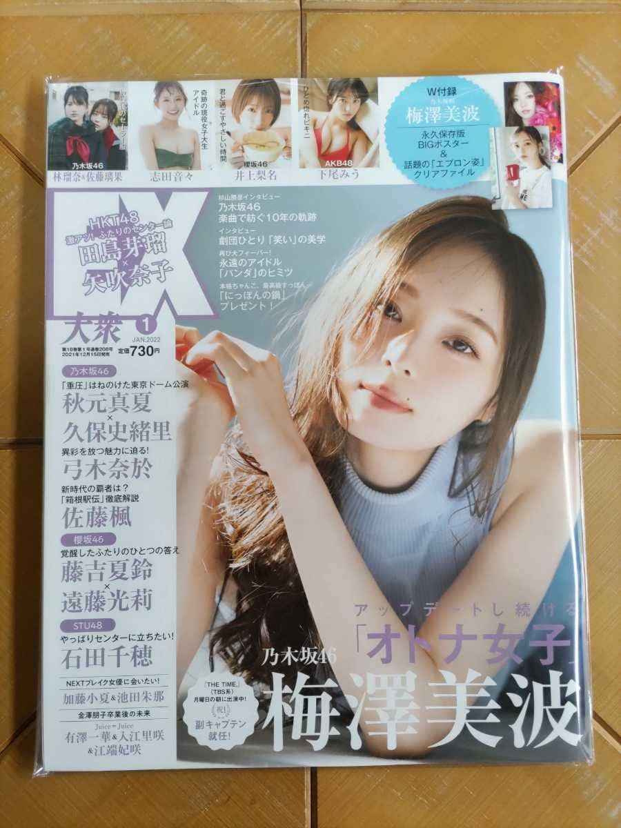 【美品】乃木坂46 欅坂46 日向坂46 雑誌8冊 クリアファイル ポスター 美品】乃木坂46 欅坂46 日向坂46 雑誌8冊 クリアファイル ポスター