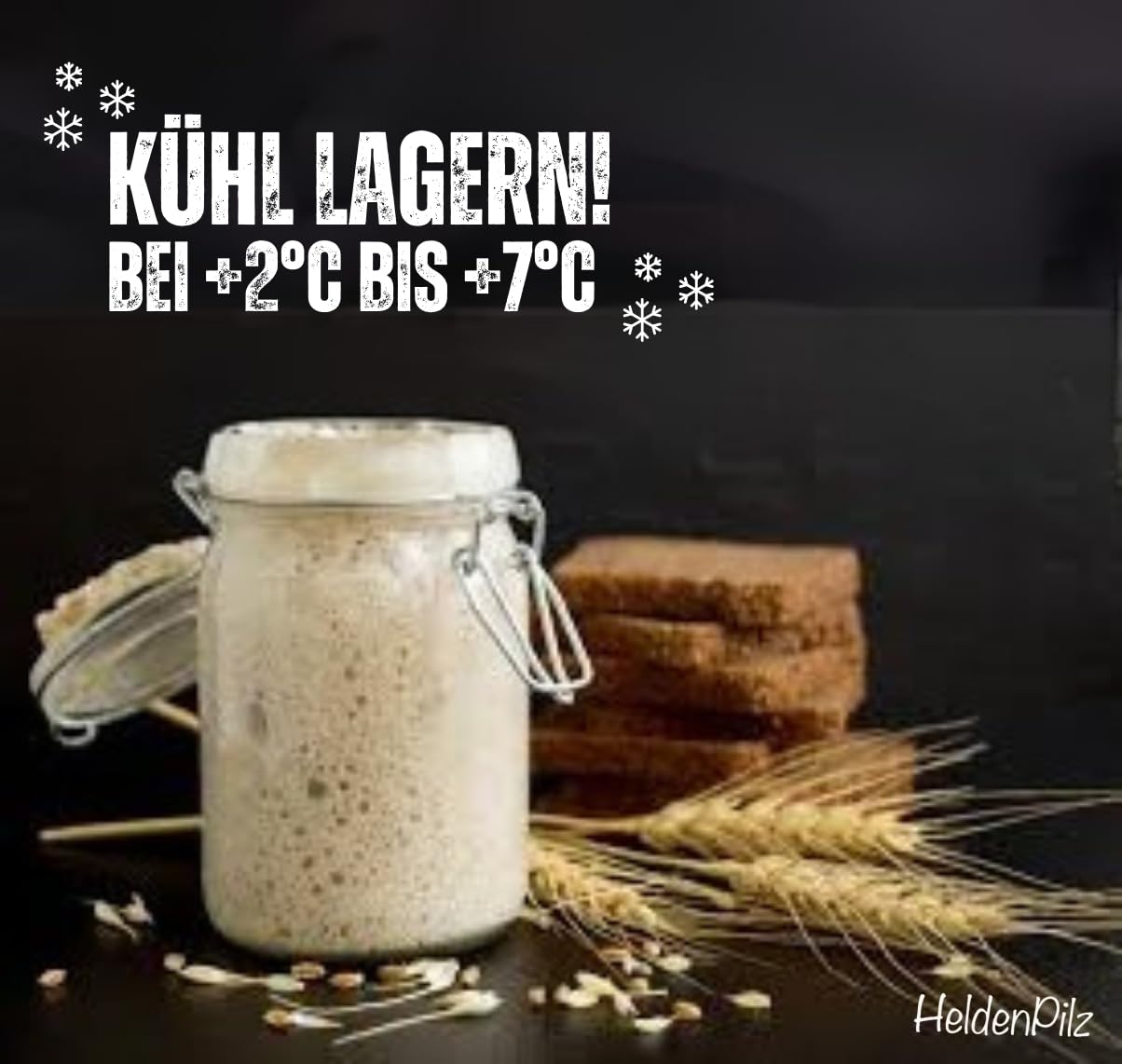 HeldenPilz® Sauerteig Starter Set – 600ml Gärglas, Spatel & Thermometer | Bio-Roggen Sauerteig inkl. Anleitung & Rezepten | Brotbacken leicht gemacht | 100% natürliche Zutaten, nachhaltig