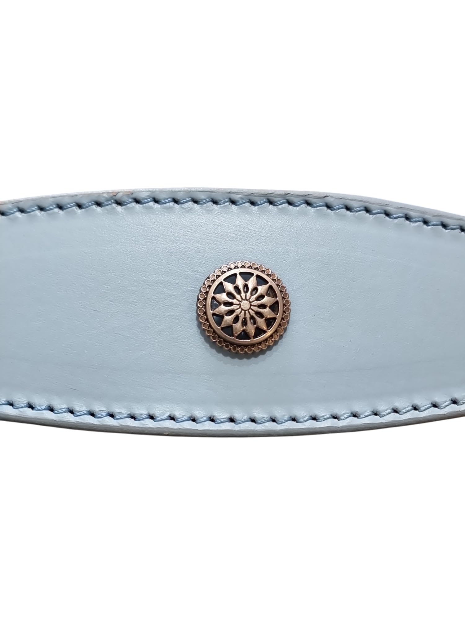 Sighthound Leather Collar for Whippet and Greyhound, Decorative Stud Design, DS 3