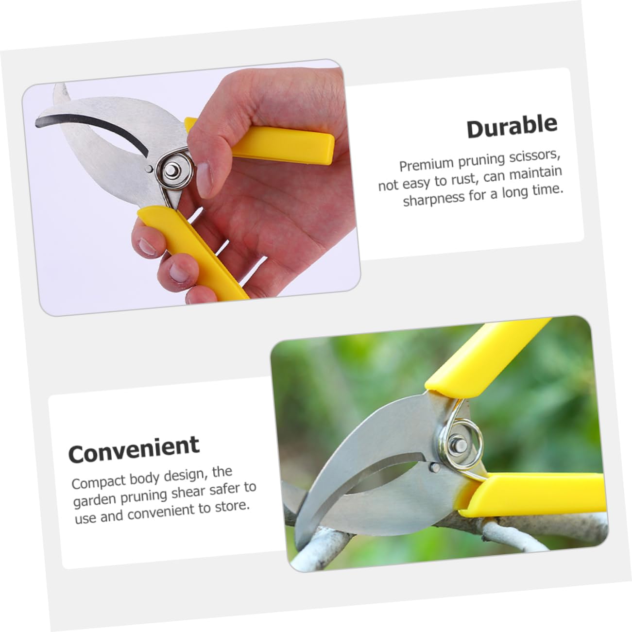 TOYANDONA 3 Ensembles Outil De Jardinage Outil De Écorce Pour Arbres Fruitiers Inoxydable Sécateur Pratique Pour Élagage Entretien De Plantes Extérieures 2 Pièces * 3