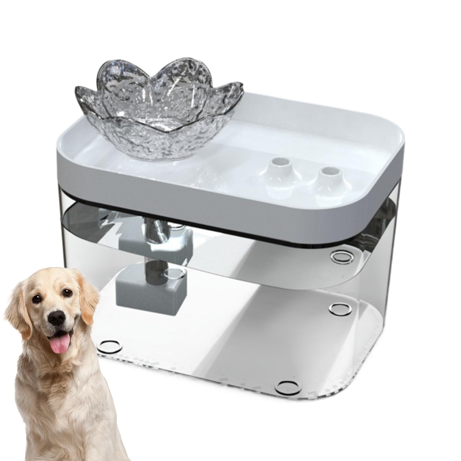 Fuente de agua para gatos para evitar problemas renales con dispensador automático USB