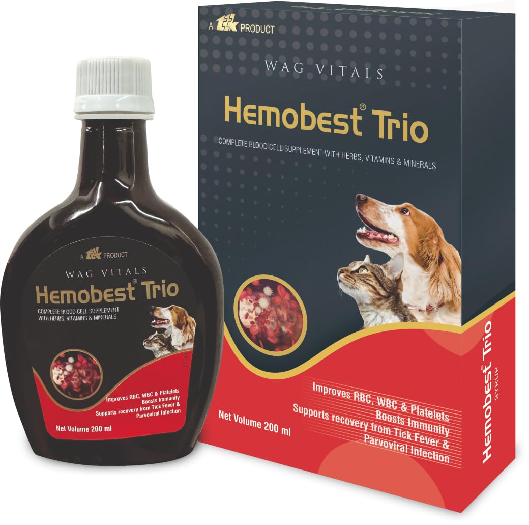 Trio Advanced Hematinic Syrup for Dog & Cat | Iron Polymaltose Complex, L-Methylfolate, Vitamin B12 & B-Complex | Supports Blood Nutrition, Vitality, Recovery & Daily Wellness-image-15