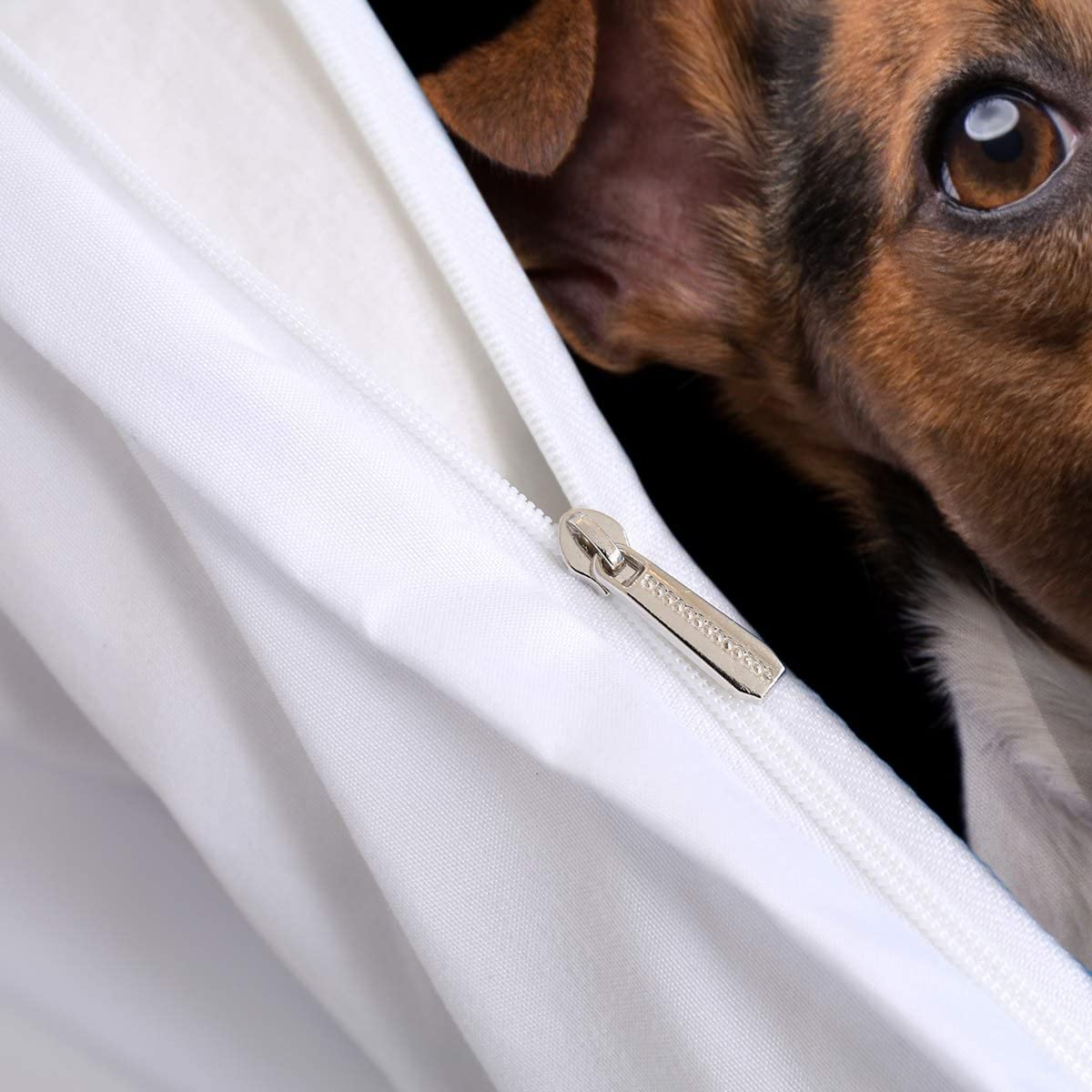 Beagle-beddengoed 135 x 200 cm dekbedovertrek set 3-delig zacht microvezel beddengoed schattig dier hond beddengoed set voor kinderen tieners ritssluiting dekbedovertrek met 2 kussenslopen 80 x 80 cm
