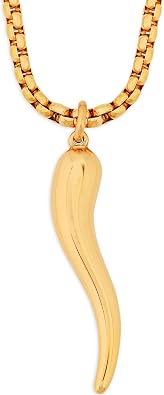 HAQUIL Italian Horn Necklace, Stainless Steel Cornicello Horn Amulet Charm Pendant, Box Chain, Italian Jewelry Gifts