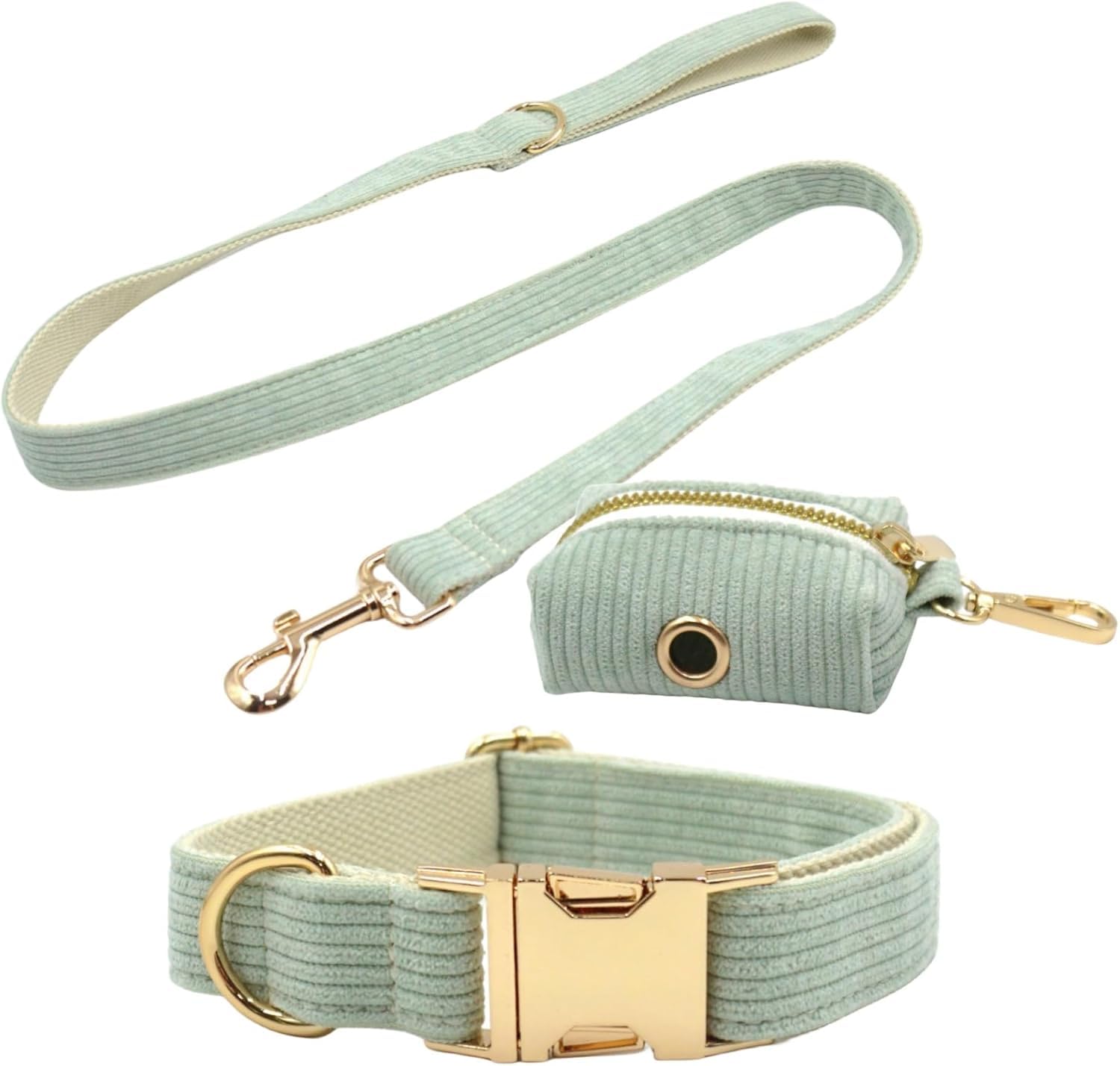 Collier pour chien en métal durable et laisse verte de qualité supérieure L
