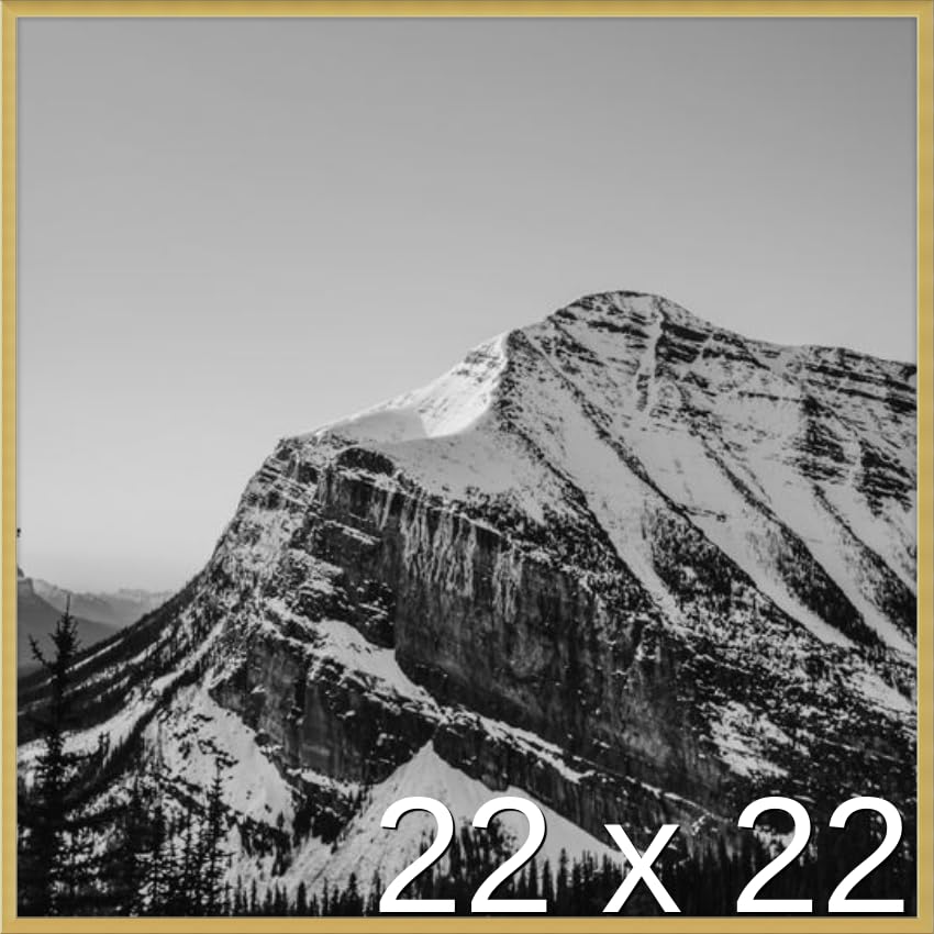 Frame It Easy 22 x 22 Gloss Gold Metal Frame (Ashford)