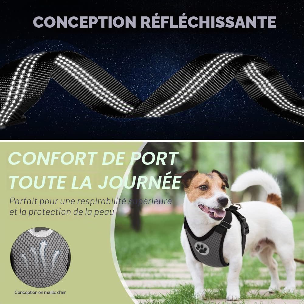 SlowTon Ensemble de Harnais et Laisse de sécurité de Voiture, Multifonction Tissu Réglable Respirant Gilet Ordinaire Harnais avec Ceinture De Sécurité en Voiture Route Voyage Promenade