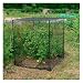 Gardman 7660 Fruit Cage Small, 3' 3'' L x 3'11'' W x 3'3'' H