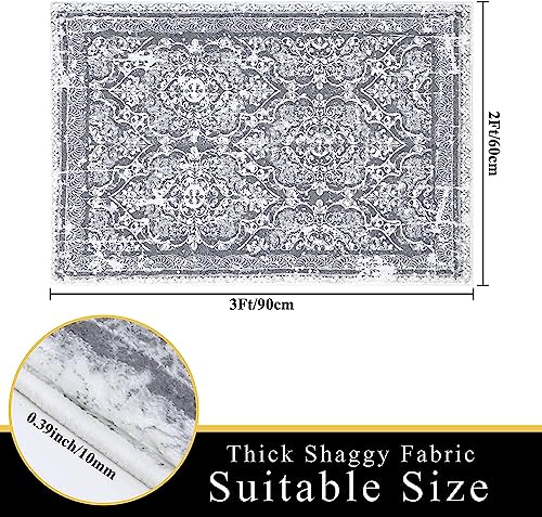 Enyhom Door Mats Indoor 60 x 90cm Low Profile-Dirt Trapper Barrier-Washable Front Door Mat - Image 2