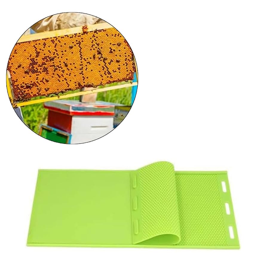 蜜蜂ページ ミツ蜂 (@roundbee08) / X