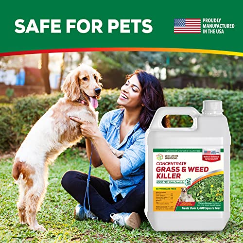 Weed Killer Concentrate - Eco Living Solutions Weed Killer Spray | Pet Safe Weed Killer | Organic Weed And Grass Killer | Moss Killer | Crabgrass & Dandelion Killer | Glyphosate Free Herbicide (32 Oz) #TOP2