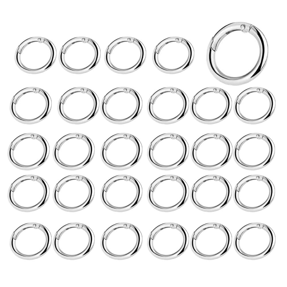 40 pezzi di anelli a moschettone rotondi, anelli a moschettone piccoli per lavori artigianali, accessori per borse, anelli a moschettone piccoli per fai da te (26 mm, argento)