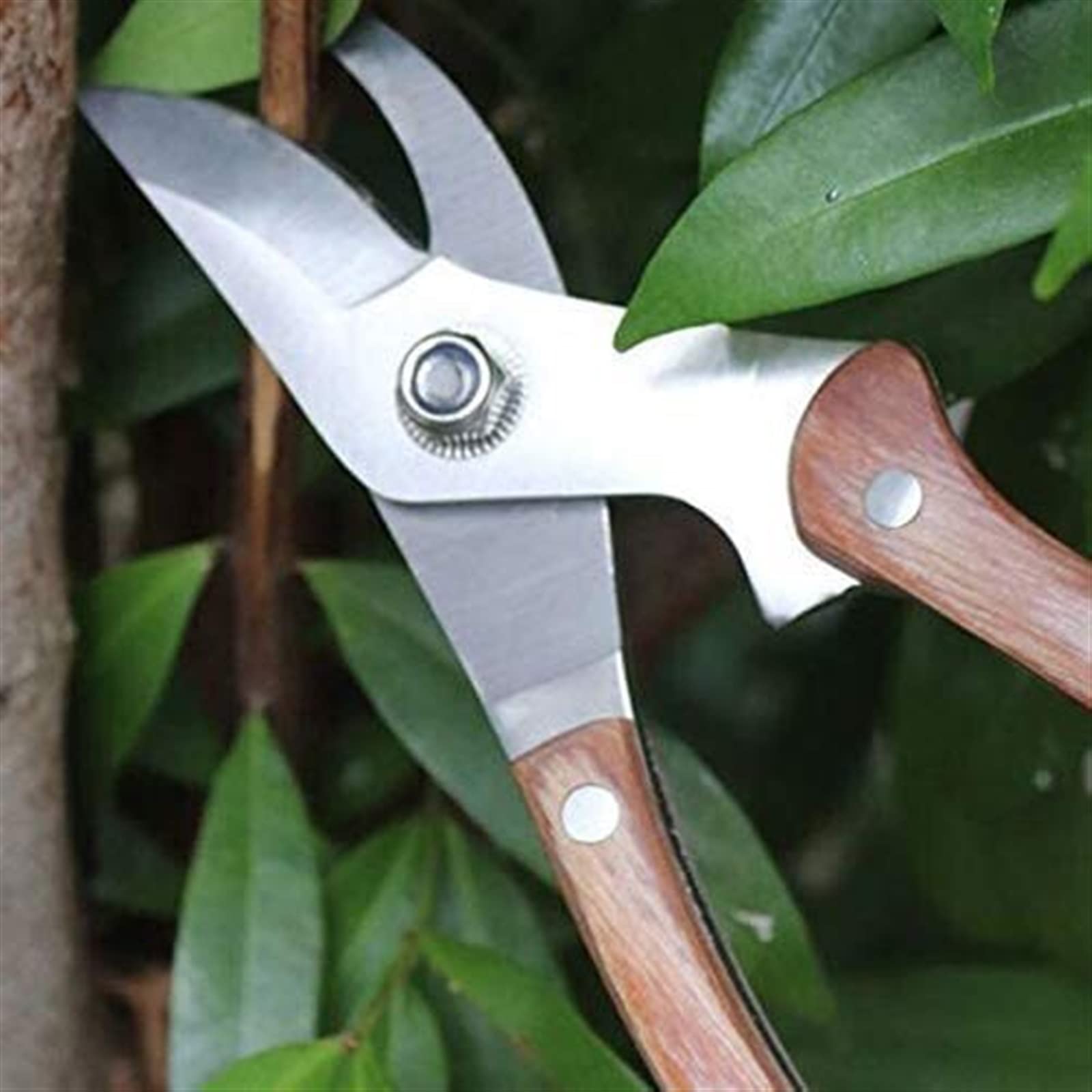Cesoie da potatura per giardinaggio Manico per tronchi Cesoie da potatura Cesoie per alberi Cesoie Potatore manuale Lame in acciaio inossidabile Tosatrici professionali da giardino Cesoie bypass