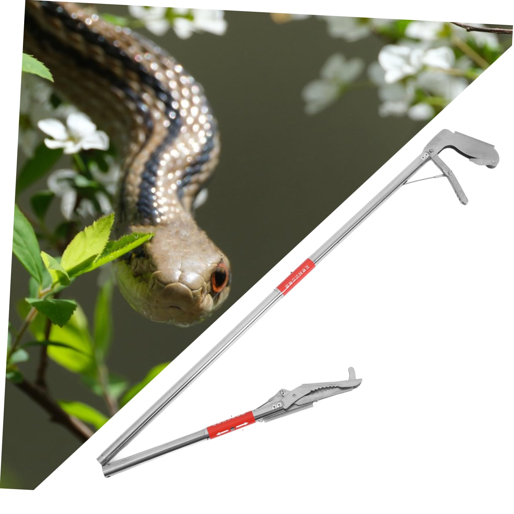 Toyvian Pinza per Serpenti Pieghevole in Acciaio Inox, 3 Sezioni, Facile da Usare, per Granchi e Aragoste, Argento