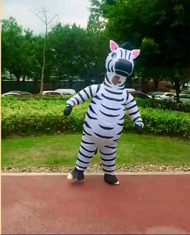 Amazon.com: ZISUEX Inflatable Zebra Costume Adults Inflatable