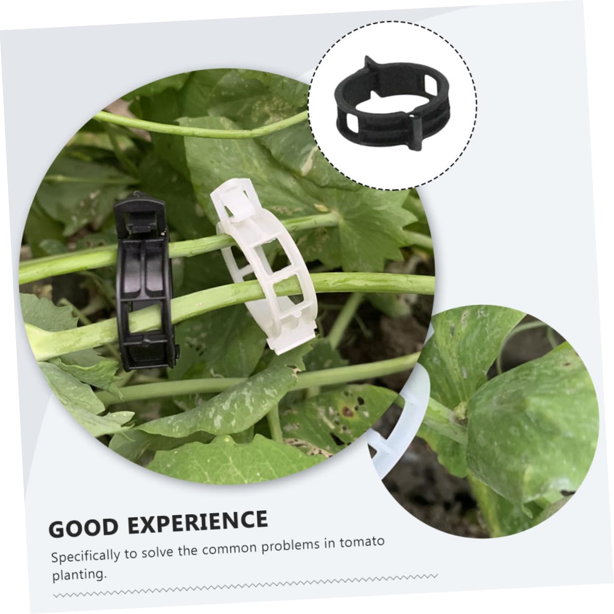 iplusmile 5 Sätze Pflanzenclips Gitter Im Freien Pflanzenstützclips Tomatenpflanzeunterstützung Clip Für Gartenpflanzen Transplantationsklammern Pp Black 100 Stück * 5