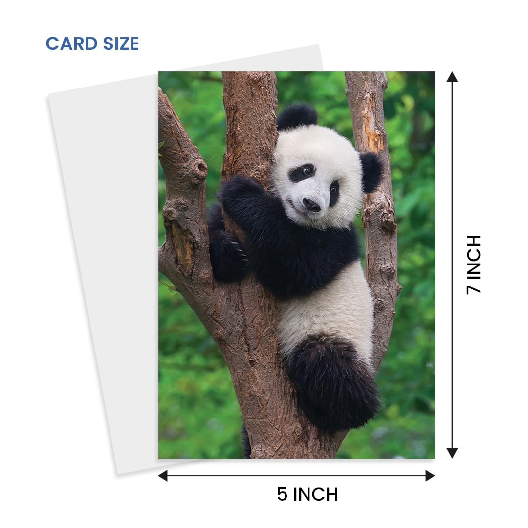 10 tarjetas de felicitación de animales surtidas para todas las ocasiones, 5 x 7 pulgadas (A7), plegadas, interior en blanco, león, caballos, cebras, delfines, pandas, koalas, osos