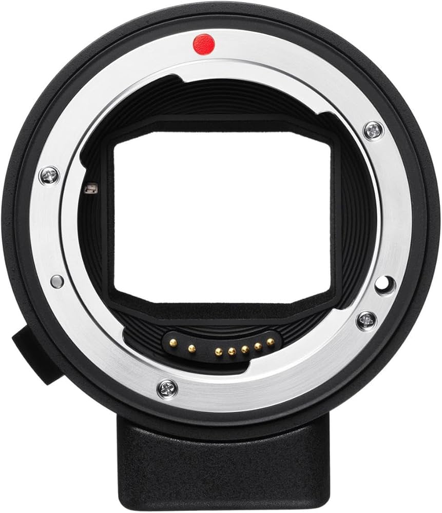 Amazon.com : Sigma MC-21 Adaptor for Sigma SA to Leica L-Mount