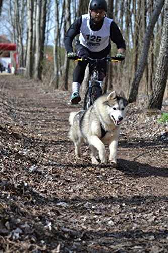Northern Howl X-Back Zuggeschirr Fuer Bike-, Skijoring Dogscooting Canicross Schlitten in Blau (S)