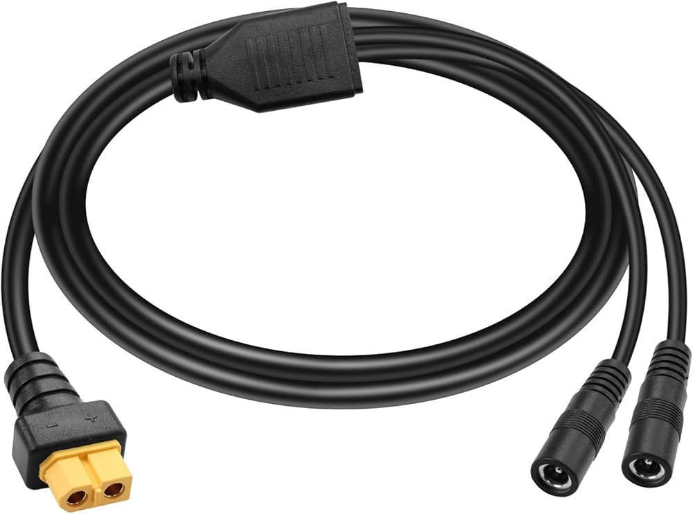 Amazon.com : GINTOOYUN XT60 to DC5521 Y Splitter Adapter Cable