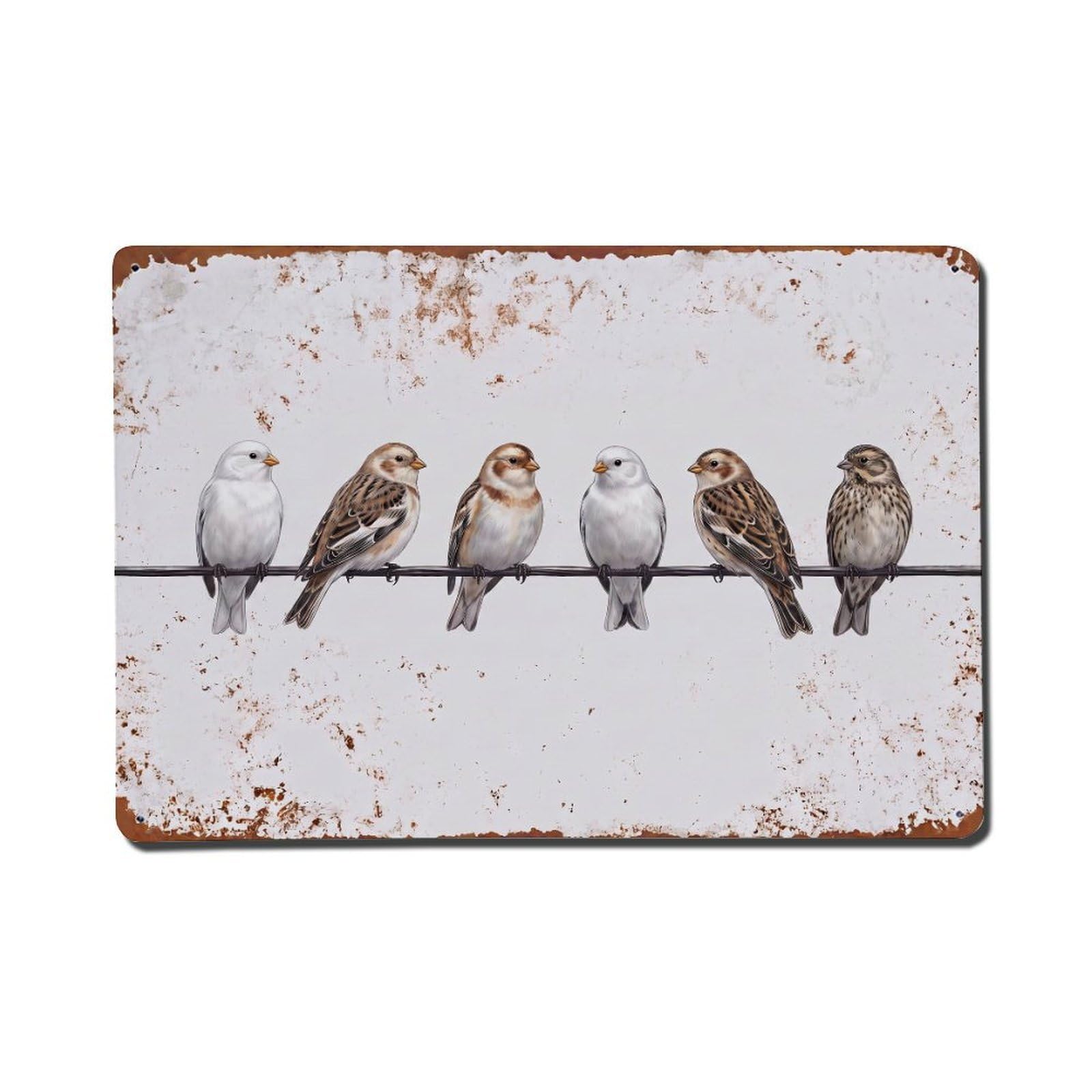 Vintage Retro Birds Snow Bunting Metal Tin Sign