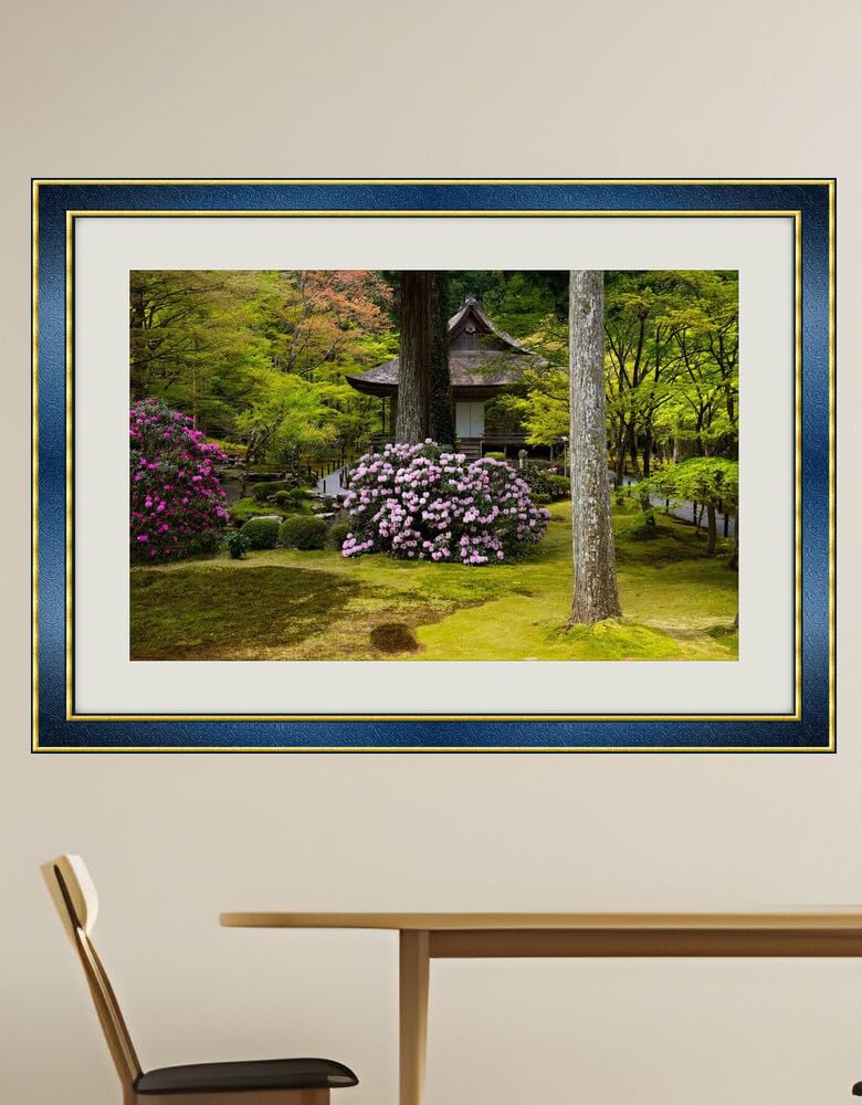 JVERF - JZZH23645 Japan Kyoto Parks Pagodas Rhododendron Trunk