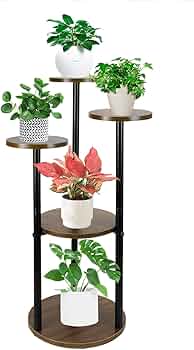 61kpdtwWSNL._AC_UF350,